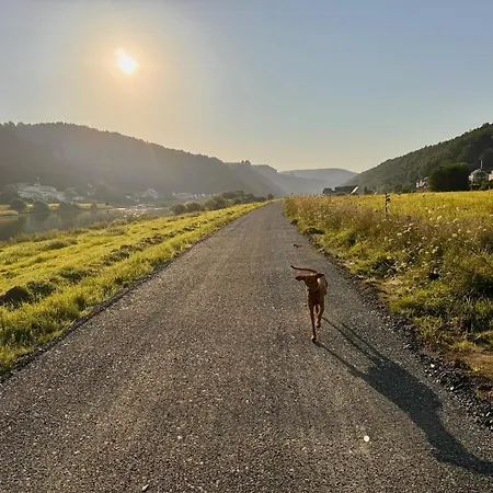 Lucy - Moderne Mit Kostenlosem Parkplatz, Terrasse, Nahe Und Malerweg * バート・シャンダウ